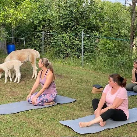 Appartement Tiny House 47 Egloffstein